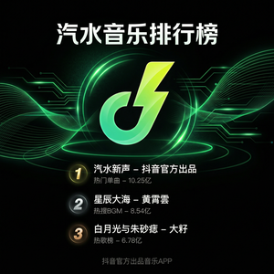 汽水音乐节气音乐完整指南